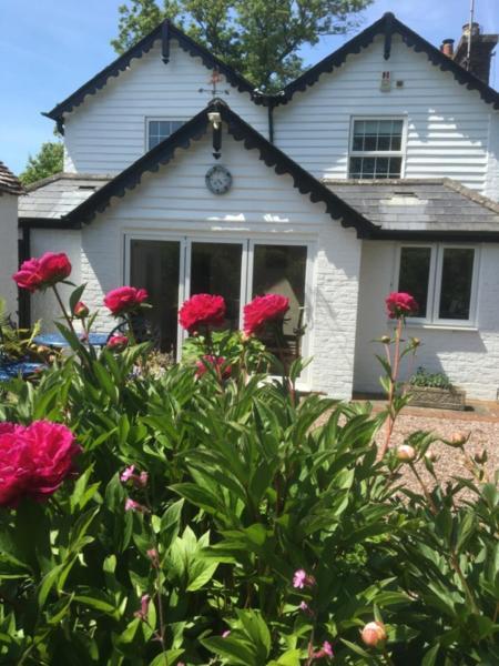 Wishing Well Cottage Wilmington  Extérieur photo