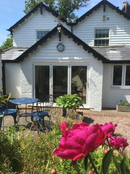 Wishing Well Cottage Wilmington  Extérieur photo